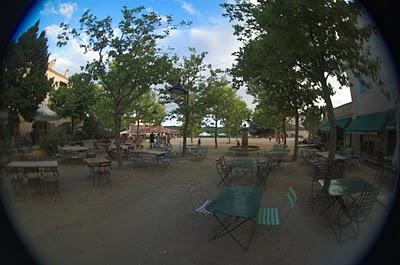 Vacation’s Glimpse