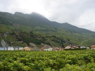 Sur la route des vins en Valais Suisse