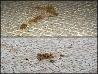 Festival: Un beau matin de juillet...