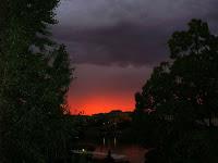 Festival: Un beau matin de juillet...