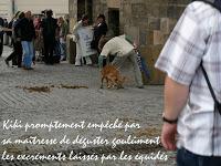 Festival: Un beau matin de juillet...