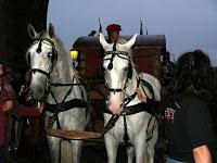 Festival: Un beau matin de juillet...