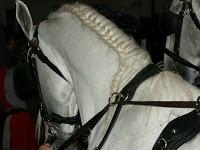 Festival: Un beau matin de juillet...