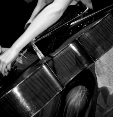 Violoncelliste