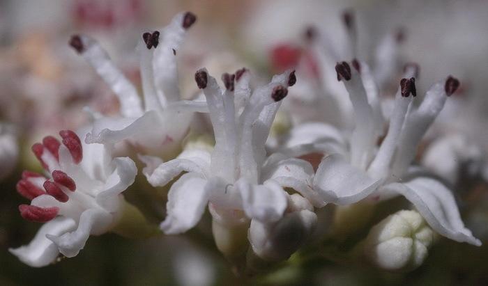 En attendant l'été 2009...