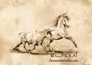 piola a1 Origines dun parcours artistique photo cheval