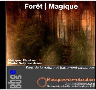 Forêt Magique, sons de la nature, chants d'oiseaux et harmonie