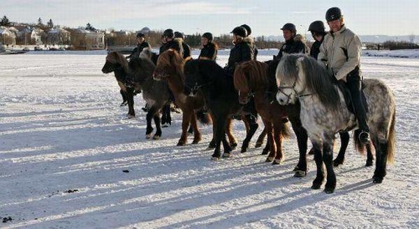 Cavaliers sur glace