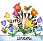 De petites boites...