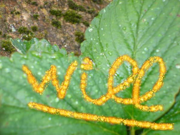 Perdre 20 kilos en 5 mois (et ne pas les reprendre)