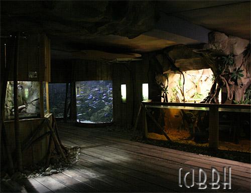 zone tropicale aquarium de touraine