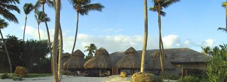 programme affiliation