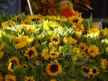 Je cueille, tu cueilles...