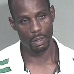 Le rappeur DMX arrêté le vendredi 9 mai à 3h - Paperblog