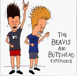 beavis_and_butthead_experience_front