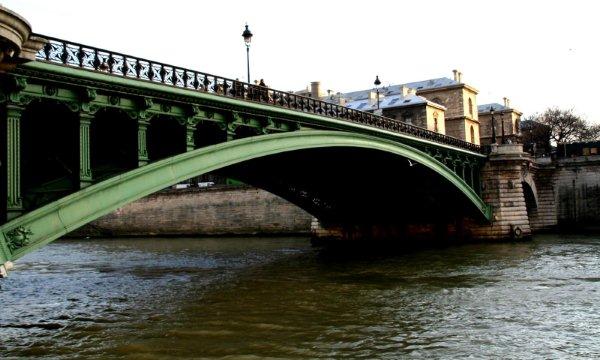 Paris racontée par ses ponts