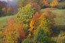 Photo Album: couleurs d'automne_. en Vanoise et dans le Vercors
