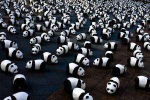 Des pandas par centaines à Paris.
