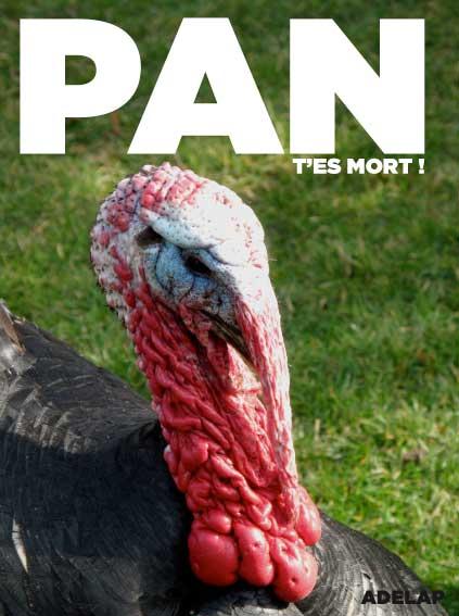 [acclimatation-2.jpg]