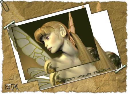 cliquer pour voir en grand