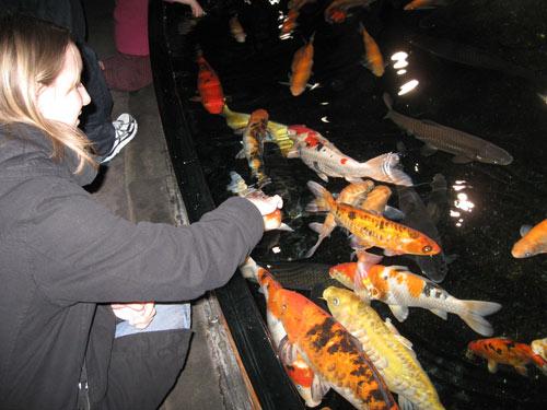 Cinéaqua : Quand les poissons rencontrent le cinéma à Paris