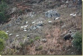 GuilinYangshuo0109_300