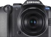 News nouveaux “flexbridges”