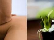 Omnisens: dans arrondissement