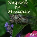 Sur ce caillou ! ~~~~~~~~~~~~~~~~~~~~~~~~~~~~~~~~~~~~~~~~~~~~~~~~~~~~~~~~~~~~~~~~