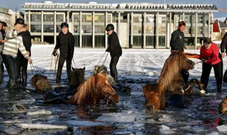 Image du jour : Toujours se méfier dans lac gelé