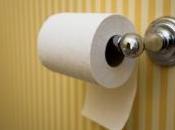 papier toilette, plus nocif pour l'environnement effet serre