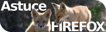 Plusieurs profils simultanés avec Firefox