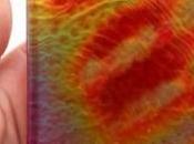 expérience sensible…