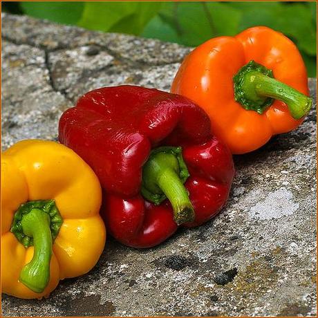 Petits poivrons confits et riz safrané