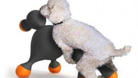 Ils ont osé… Le sex toy pour chien ! Ils ont osé… Le sex toy pour chien !