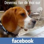 Damoclès plein cours…