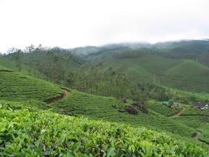 On a taggé www!!! On a taggé www!!!