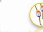 meilleur anti-poux? mayo! Si,si...