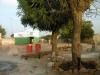Sur la Dakar - Djibouti : Kaffrine, une maison et un Nim