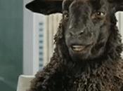 Prochainement soliblog...