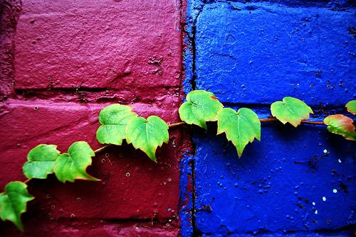 Les jeux de Come in my World