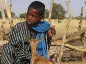 L'enfant peul terroir Oumar N'Diaye