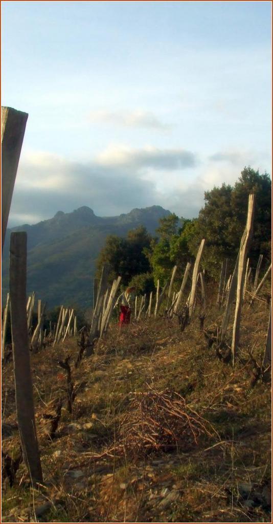 Le printemps est arrivé - et la taille continue toujours