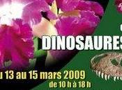 Exposition internationale orchidées dinosaures