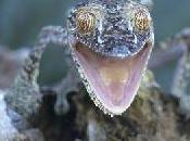 Souriez, vous êtes draguée