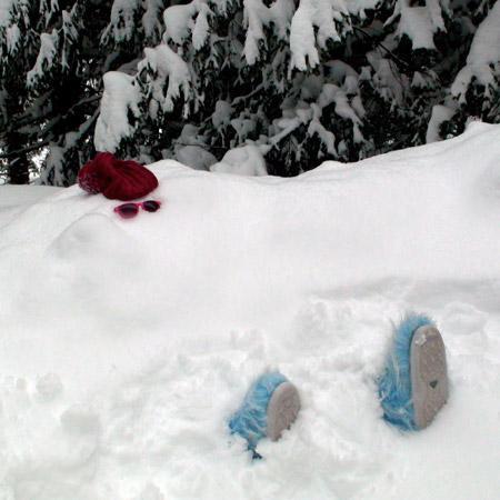 df_arva dancing fouines arva criterblog arcs