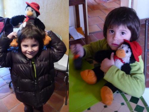 Les aventures de Pingou !