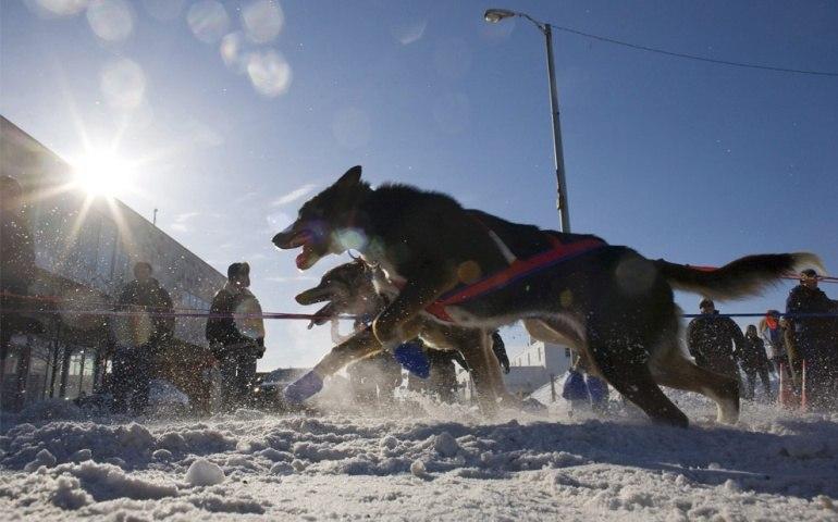 L'Iditarod