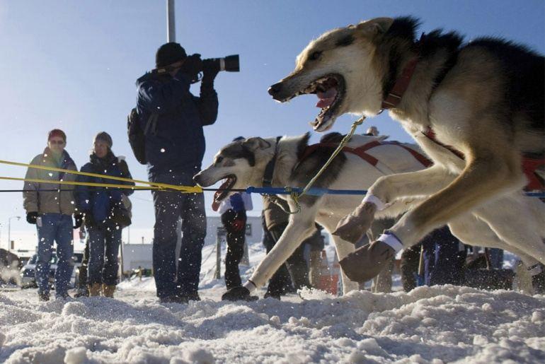 L'Iditarod