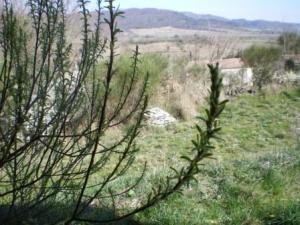 Jardin Botanique. (Concours De Printemps)